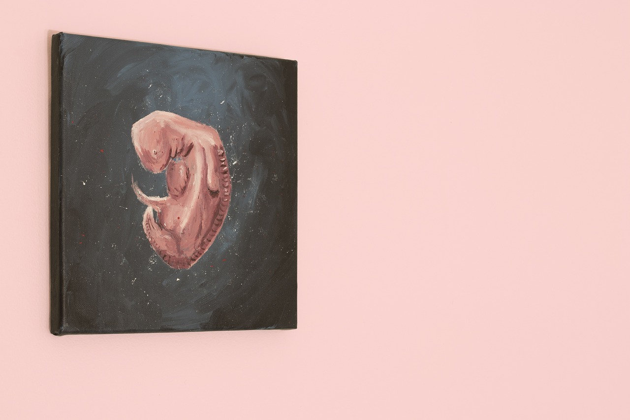 Le droit à l'avortement : les enjeux de la protection de la santé et des droits des femmes