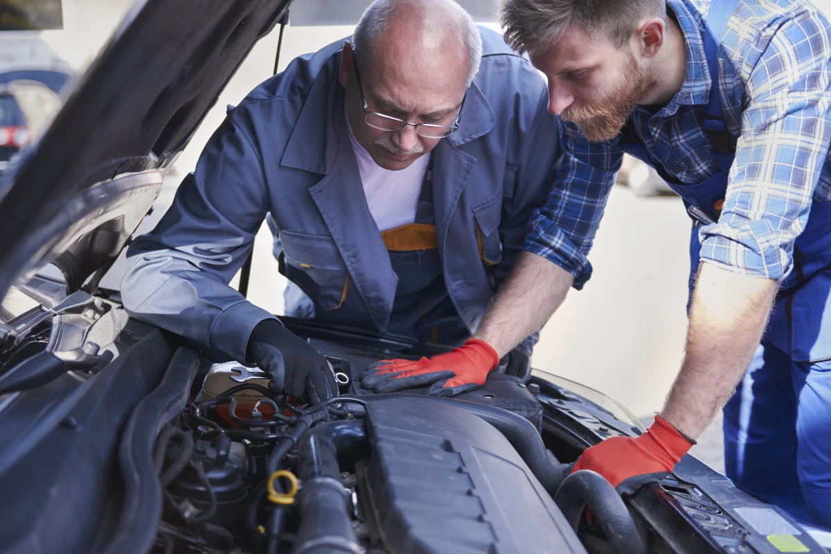 Domiciliation de votre auto-entreprise : le guide complet pour réussir