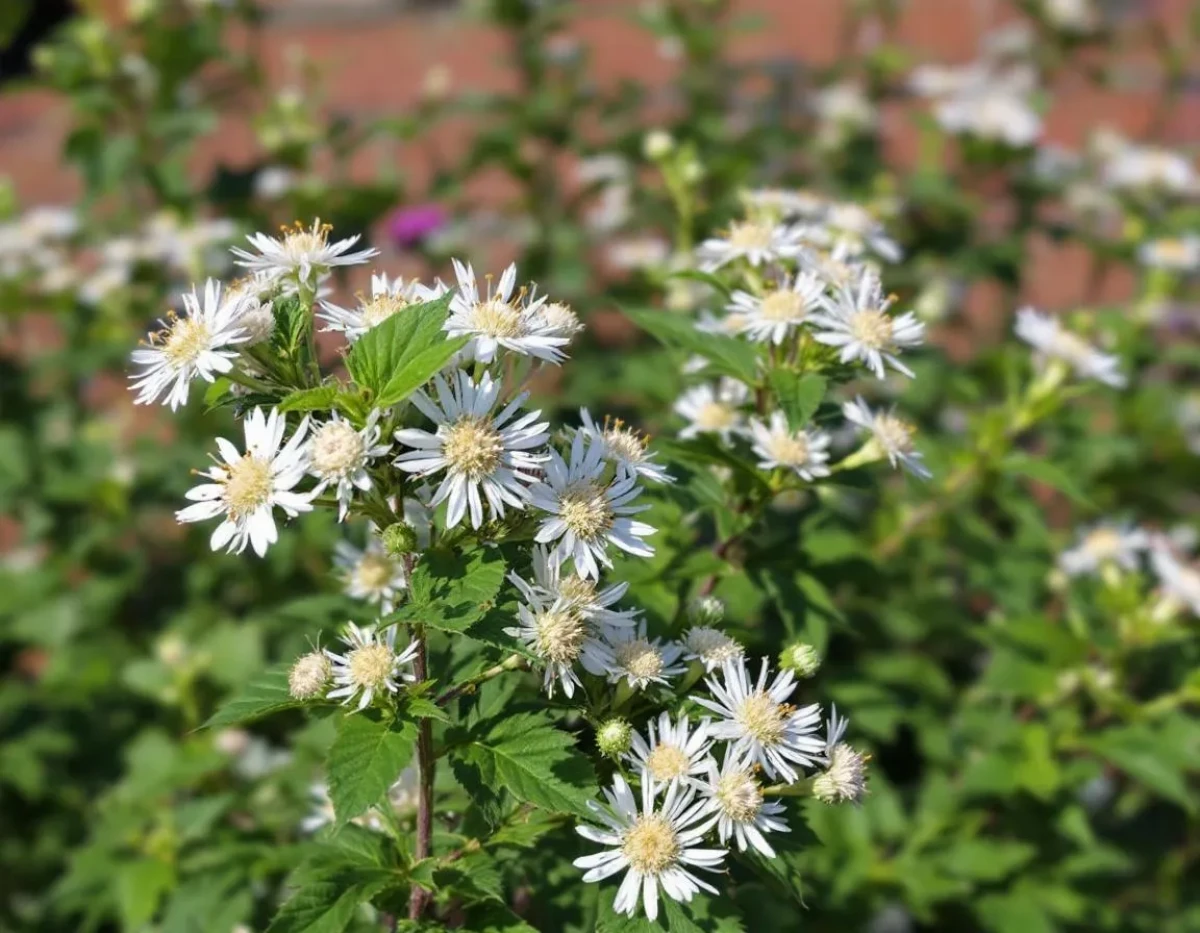Fleurs de CBD : Cadre juridique pour les importateurs en France