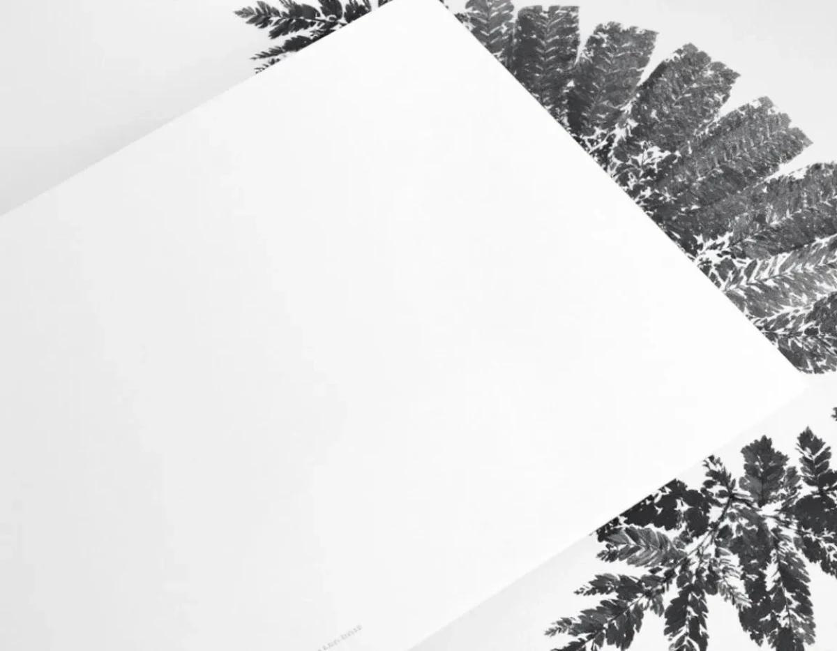 Stratégies d'Optimisation Fiscale Personnelle : L'Art de la Planification Patrimoniale